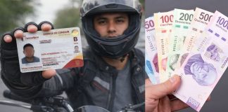 ¿Cómo obtener el descuento del 30% en derechos vehiculares en Tamaulipas?