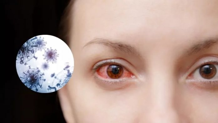 image - 2026-04-10T131348.237