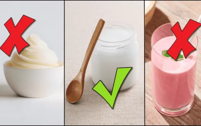 yogurt_version1771453927876.png_2049755531