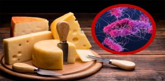 Retiran lote de queso por posible contaminación con E. coli, alerta FDA