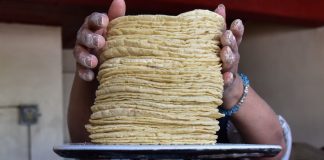 Sheinbaum rechaza alza en tortilla y señala que el maíz está en su nivel más bajo