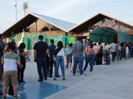 Registra Zoológico de Nuevo Laredo alta afluencia de visitantes durante periodo vacacional