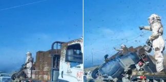 Escapan miles de abejas tras volcadura de camión en Nuevo León