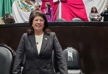 Senadora morenista reconoce que ordenó sacrificar más de 10 mil perros en Edomex durante seis años