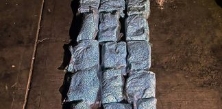 Muertes por sobredosis en EE. UU. caen 35%, reporta embajador Johnson