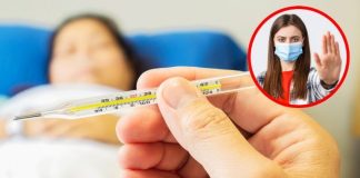 Declaran alerta sanitaria en Bolivia por peligroso brote de fiebre amarilla: ¿Cómo detectar los síntomas?