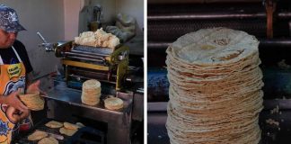 Precio de la tortilla sube 72.5% desde 2018: ¿cuánto pagabas antes y cuánto pagas ahora?