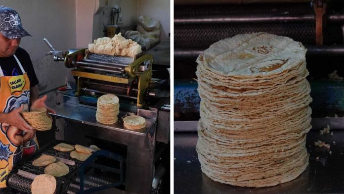 precio-de-la-tortilla-desde-2018-141343