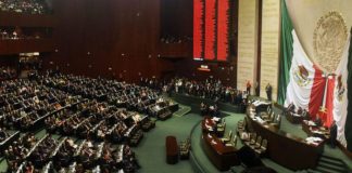Instan al Senado de México a retomar debate sobre regulación del cannabis