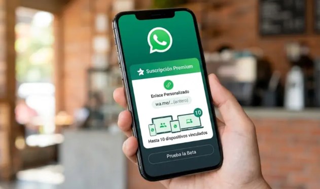 Y WHATSAPP