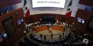 “Ley Trasciende”, la iniciativa que genera debate, llega al Senado