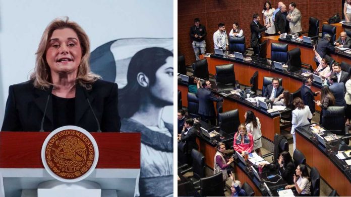 maru-campos-senado-153647