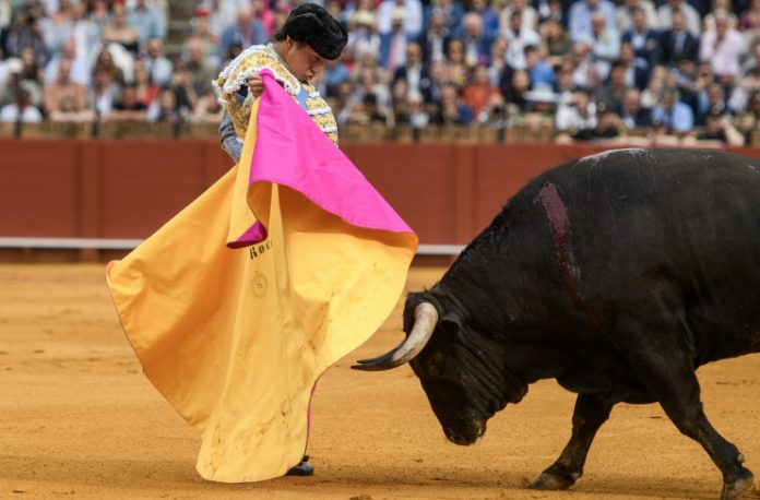 Roca-Rey-herido-en-Sevilla-sufre-una-cornada-en-el-muslo-23-04-2026_03_48_PM