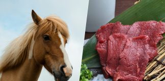 ¿Lo sabías? Más de 500 mil caballos son servidos cada año en mesas mexicanas