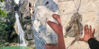 La sequía deja al descubierto fósiles marinos en la sierra de Casas en Tamaulipas