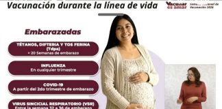 ¿Cuántas semanas de gestación debes tener para aplicarte la vacuna contra el Virus Sincicial Respiratorio ?