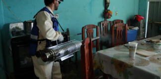 Plaga de mosquito culex invade varios municipios de Hidalgo; autoridades inician fumigación