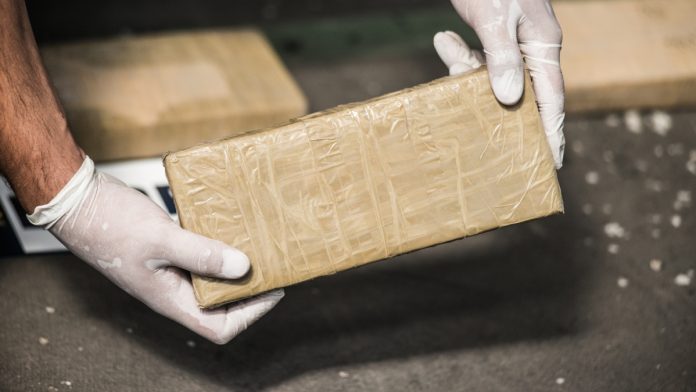aseguran-en-cdmx-20-kilos-de-metanfetamina-y-30-tabiques-de-cocaina-212642