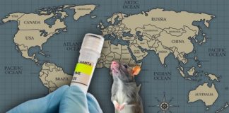 El hantavirus del crucero MV Hondius ya llegó a Israel; así van los países afectados