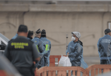 Francia confirma primer caso de hantavirus en pasajera repatriada del crucero MV Hondius
