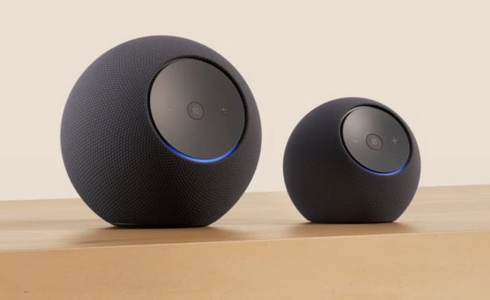 Y ALEXA