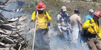 15° incendio forestal en Tamaulipas fue sofocado con ayuda de casi 500 personas