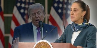 Trump y Estados Unidos reconocen tráfico de armas y consumo de drogas, confirma Sheinbaum
