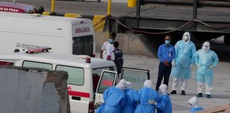 Salud emite aviso epidemiológico por hantavirus; ordena fortalecer detección de posibles casos