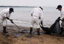 A casi 2 meses del derrame de crudo, Tamaulipas no registra daños en especies acuáticos