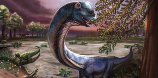 Descubren en Tailandia al “último titán”, el dinosaurio más grande del sudeste asiático… ¡medía 27 metros!
