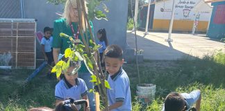 Gobierno municipal fortalece educación ambiental y reforestación en escuelas de Nuevo Laredo