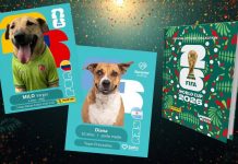 Campaña de adopción de perritos inspirada en estampas del Mundial 2026 se viraliza; así es la propuesta