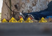 Segunda semana de mayo deja 280 homicidios en México; Guanajuato lidera lista con 27 casos
