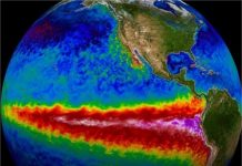 Un “súper El Niño” podría aparecer pronto y golpear a México: pronostican clima extremo