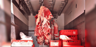 México dispara exportaciones de carne de res; preocupa dependencia de cerdo