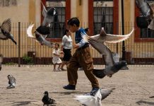 México busca disminuir el trabajo infantil durante el Mundial 2026