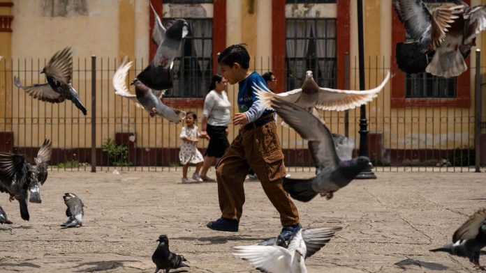 mexico-busca-disminuir-el-trabajo-infantil-durante-el-mundial-2026-091619
