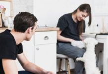 Un juez ordenó que un hombre pague cuota alimentaria para el cuidado de su “perrhijo” tras divorciarse de su pareja