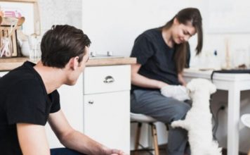 Un juez ordenó que un hombre pague cuota alimentaria para el cuidado de su “perrhijo” tras divorciarse de su pareja