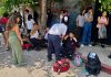 Enjambre de abejas ataca a más de 100 personas en escuela de Cuautla, Morelos