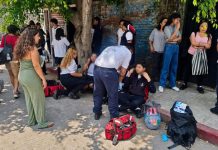 Enjambre de abejas ataca a más de 100 personas en escuela de Cuautla, Morelos