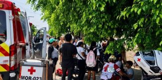 Ataque de abejas deja 9 alumnos de telesecundaria hospitalizados en Cuautla, Morelos