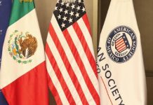 México pierde margen frente a EE. UU. en plena renegociación del T-MEC, advierte especialista