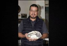 Laboratorio de la BUAP “resucita” fósiles de hace 90 millones de años