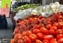 Precio del tomate en Tamaulipas se mantiene elevado