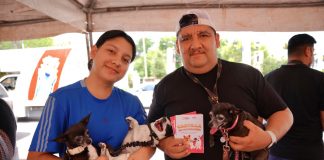 Gobierno de Carmen Lilia Canturosas refrenda compromiso con bienestar animal con exitosa Jornada De Vacunación y Desparasitación