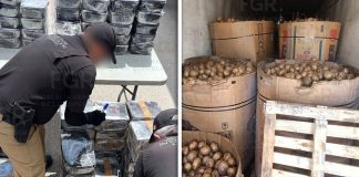 Hallan casi una tonelada de metanfetamina oculta en un cargamento de jícamas