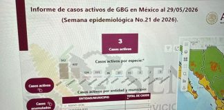 Gusano barrenador: Nuevo León reporta primer caso en fauna silvestre