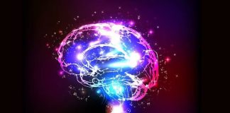 Efectos de la IA en la mente humana; ¿por qué el cerebro podría estar perdiendo agilidad y cómo evitarlo?