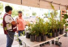 Impulsa gobierno municipal cultura del reciclaje con ‘Reciclatón’